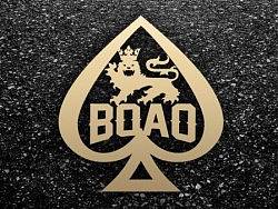 博奥皇家德扑 德州扑克会馆品牌设计