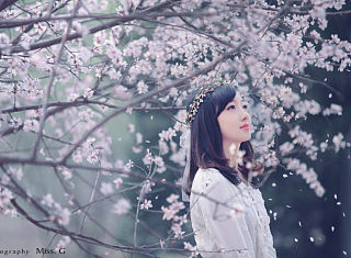 繁花