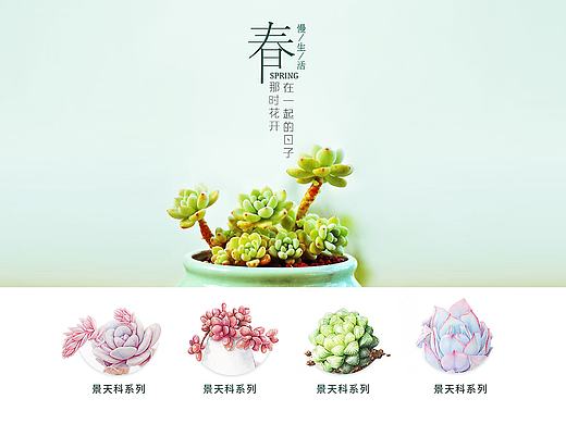 多肉，绿植首页页面，小清新