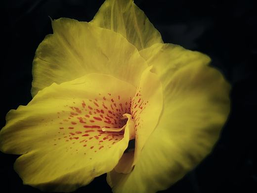 黃色如紗（個人主頁-ZMzY3NTUxMDQ=） - 風光攝影 - 站酷設(shè)計師shine4d大飛原創(chuàng)素材 - 站酷ZCOOL