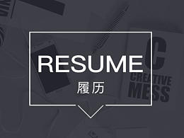 履历-2.0