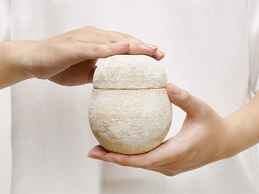 iF获奖作品——菌丝体可持续宠物骨灰盒
