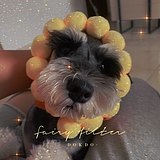 Frida_的头像