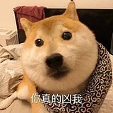 屁屁怂的头像
