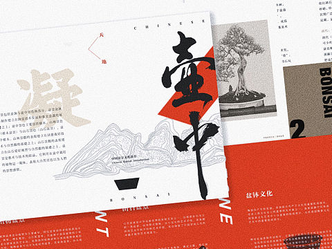 《壶中天地》中国盆景文化简介手册