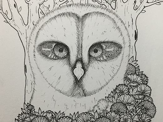 针管笔插画《猫头鹰》