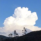 June摄影工作室的头像