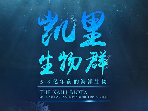 此设计为贵州省博物馆游戏互动界面设计。
