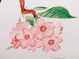水彩櫻花