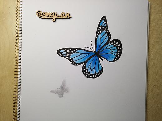 彩铅3D蝴蝶（个人主页-ZMjczODE4ODg=） - 绘画 - 站酷设计师倩倩swyan原创素材 - 站酷ZCOOL