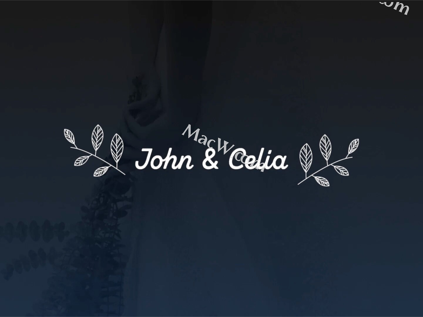 fcpx-wedding-titles-pack-for-mac-fcpx-zcool