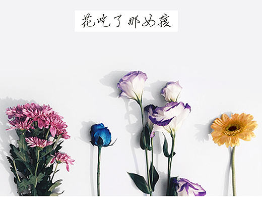 一个花店logo概念提案