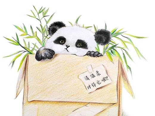 近两个月彩铅画汇总