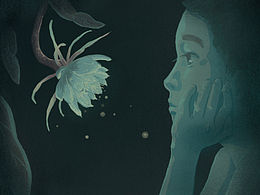 昙花、鹤、鬼火