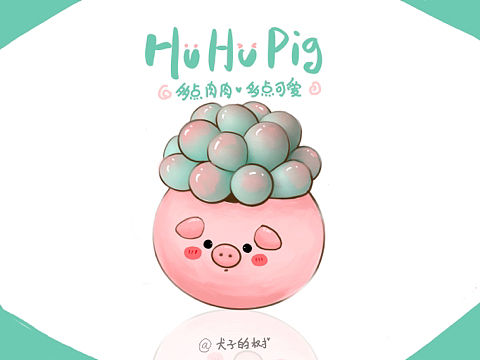 HuHu猪多肉和海豹青蛙