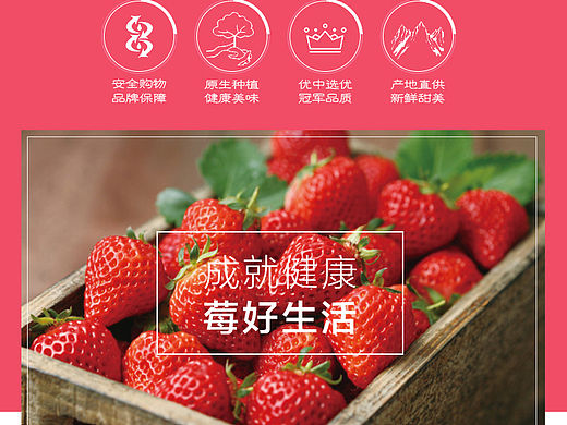 草莓详情页电商内页水果