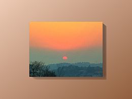 夕阳红
