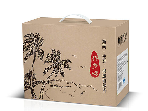 椰子鸡包装设计案例赏析