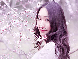 sakura 樱花