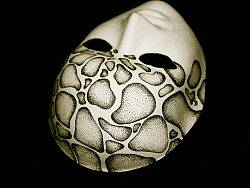 我的杯具和面具。呵呵