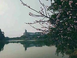 學(xué)院風(fēng)景