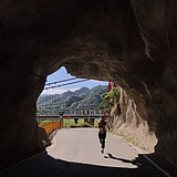 forest_tea的头像
