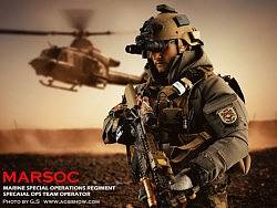 1:6 DAM Toys精英系列：MARSOC-陆战队特种作战团别动队-队员