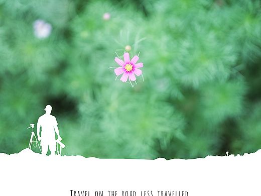 花蕊（個(gè)人主頁(yè)-ZMzc3MDM5NTY=） - 產(chǎn)品攝影 - 站酷設(shè)計(jì)師JingPacify原創(chuàng)素材 - 站酷ZCOOL