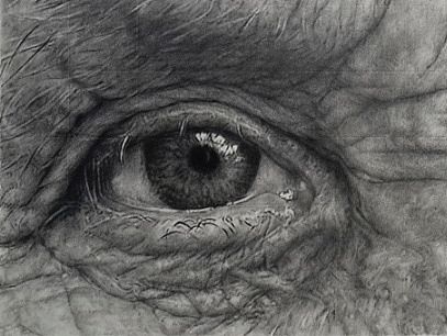 写实作品《眼睛》作画步骤