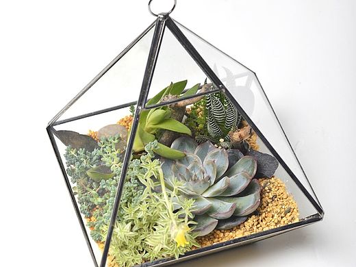 《卡骐娜花卉店》产品