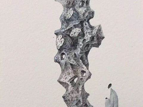 吉祥物语插画日记之【三十三】己所不欲 勿施于人