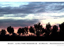 爱似流年-那些年我们追过的女孩