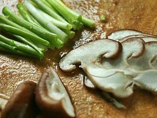 食物摄影