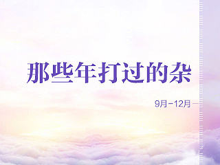 一小波杂物