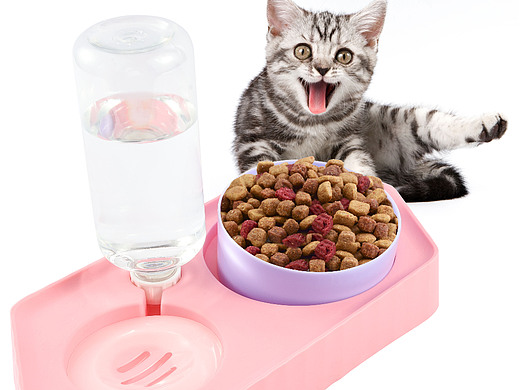 亚马逊宠物碗主图设计