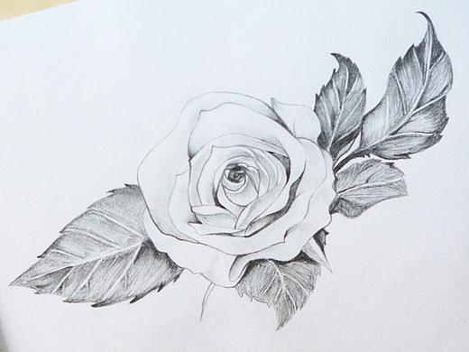 玫瑰花课堂习作