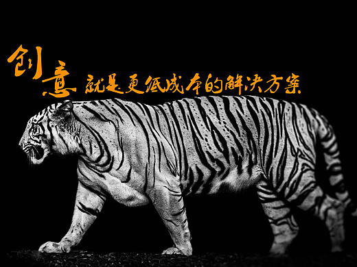官网设计