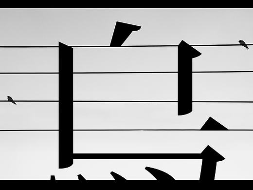 | 关我'鸟事 |