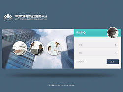 一个小应用软件系统皮肤