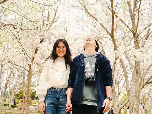 樱花情侣