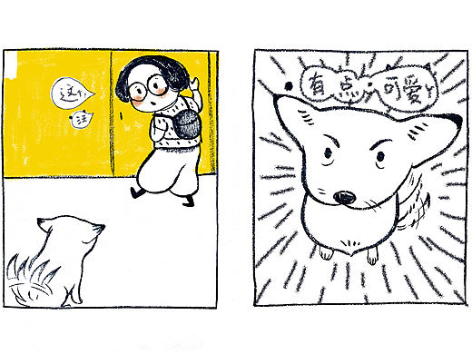 家里来了一只汪~