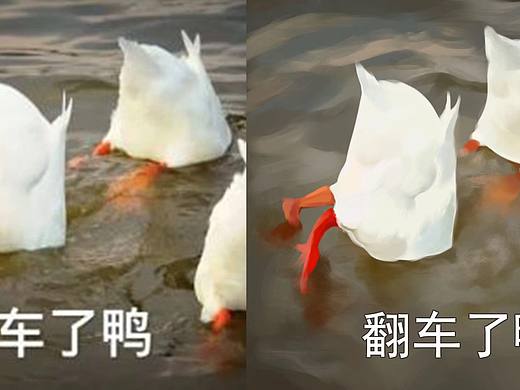 鸭子表情包