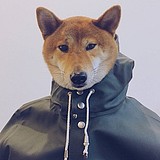 _AiE的头像