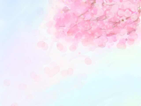 樱花