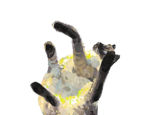 大概算半年总结（个人主页-ZNTAxMzgyNjg=） - 创作习作 - 站酷设计师雾定原创素材 - 站酷ZCOOL