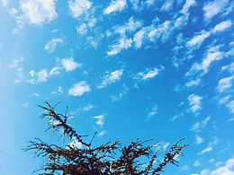 天蒼蒼、野茫茫