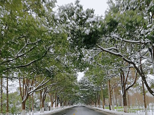 雪景拍摄