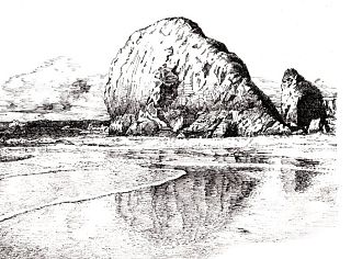 Y_Lovely 《鲸鱼岛》——钢笔画