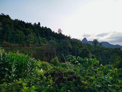 傍晚山林（个人主页-ZNDY2ODYzMTI=） - 风光摄影 - 站酷设计师Z71878695原创素材 - 站酷ZCOOL