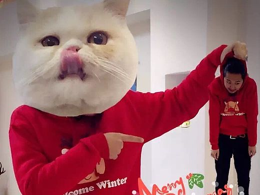 逗比的圣诞节自娱自乐（个人主页-ZMTUwMjAwODA=） - 宠物摄影 - 站酷设计师晓包子原创素材 - 站酷ZCOOL